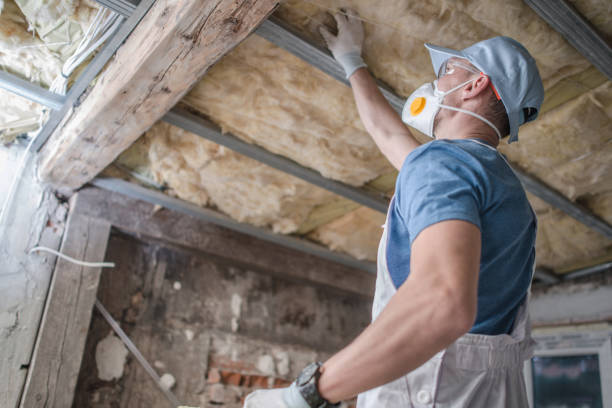 Best Eco-Friendly Insulation in Upland, CA